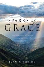 Sparks of Grace: God transforms the world with His grace