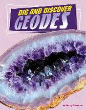 Dig and Discover Geodes