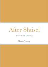 After Shtisel