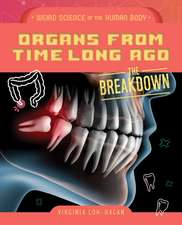 Organs from Time Long Ago