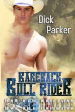 Bareback Bull Rider