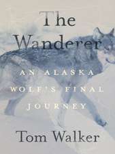 The Wanderer