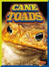 Cane Toads