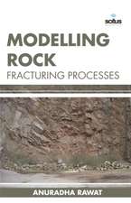 Modelling Rock Fracturing Processes