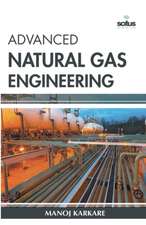 Advanced Natural Gas Engineering