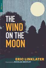 The Wind on the Moon