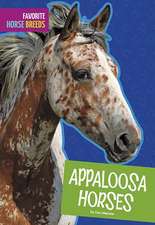 Appaloosa Horses