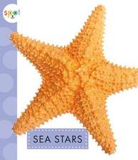 Sea Stars