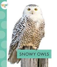 Snowy Owls