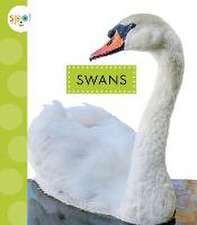 Swans