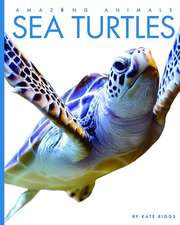 Sea Turtles