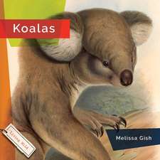 Koalas