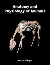 Anatomy and Physiology of Animals