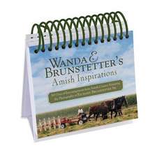 Wanda E. Brunstetter's Amish Inspirations