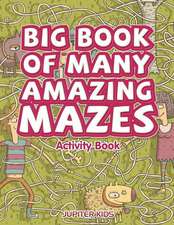 Big Book of Many Amazing Mazes Activity Book