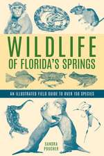 Wildlife of Florida's Springs