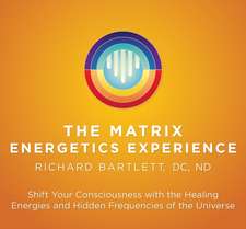 Bartlett, R: Matrix Energetics Experience