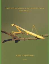 Praying Mantises of the United States and Canada