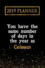 2019 Planner: You Have the Same Number of Days in the Year as Colossus: Colossus 2019 Planner