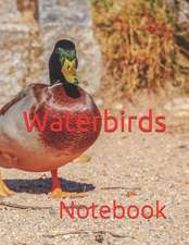 Waterbirds: Notebook