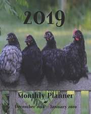 2019 Monthly Planner December 2018 - January 2020: 14 Month Calendar and Schedule Organizer │fun Chickens Cover │appointment Book with Not