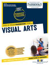 National Learning Corporation: Visual Arts (Cst-28)