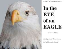 In the Eye of an Eagle