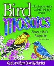 Bird Mosaics: Quick and Easy Color-By-Number