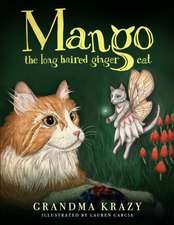 Mango The Long Haired Ginger Cat