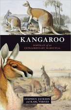 Kangaroo: Portrait of an Extraordinary Marsupial