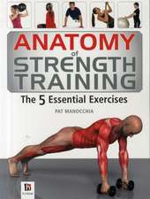 Anatomy Of Strength Training