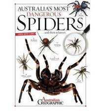 Australia's Most Dangerous Spiders