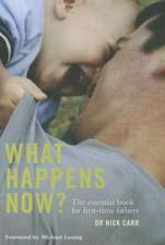 What Happens Now?: The Essential Book for First-Time Fathers