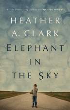 Elephant in the Sky: A Novel