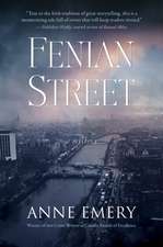 Fenian Street: A Mystery