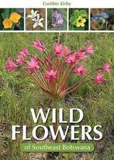 Wild Flowers of Southeast Botswana