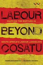 Labour Beyond Cosatu