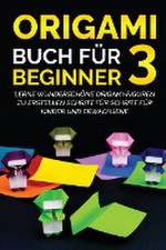 Kanazawa, Y: Origami Buch für Beginner 3