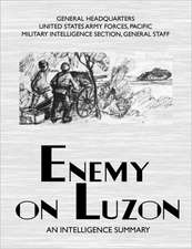 Enemy on Luzon