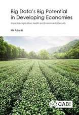 Big Data's Big Potential in Developing Economies