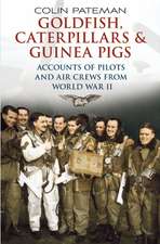 Goldfish, Caterpillars & Guinea Pigs: Accounts of Pilots and Air Crews from the Second World War