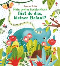 Mein buntes Gucklochbuch: Bist du das, kleiner Elefant?