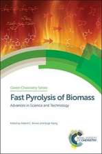 Fast Pyrolysis of Biomass