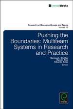 Pushing the Boundaries – Multiteam Systems in Research and Practice