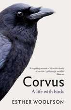 Woolfson, E: Corvus
