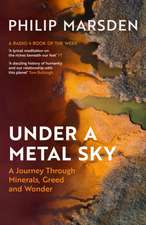 Under a Metal Sky