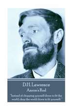 D.H. Lawrence - Aaron's Rod