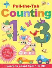 Pull-the-Tab Counting with Flash Cards