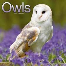 Owls Calendar 2019