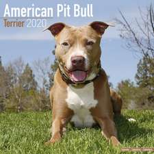 American Pit Bull Terrier Calendar 2020